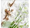 K2 CAYON 250ml White Flowers - osviežovač vzduchu